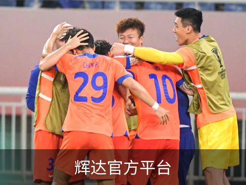 关于辉达官方平台